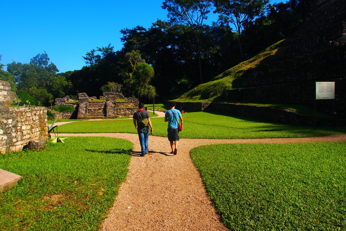 Caminando por la Zona Arqueológica de Palenque