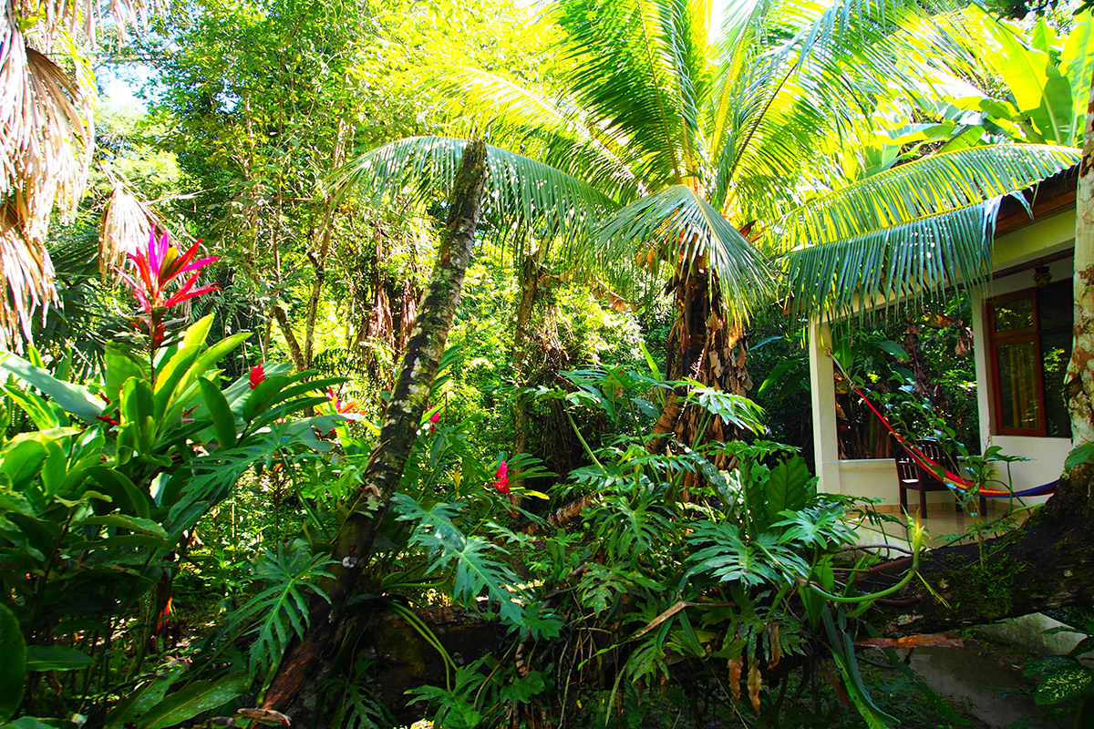 Jardines dentro del Jaguar Inn Tikal