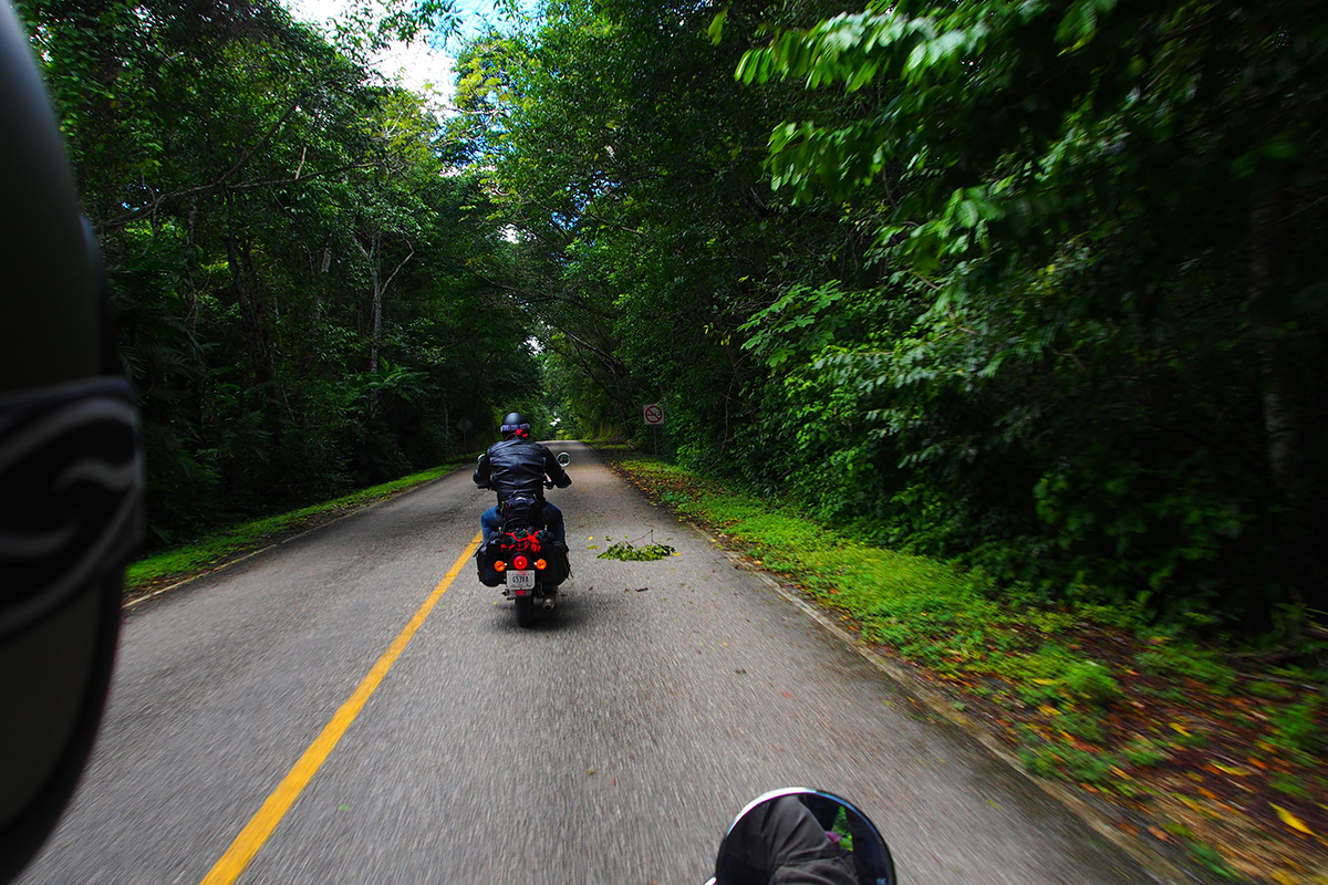 La Carretera camino a Tikal