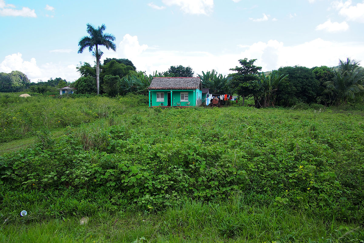 Después de un par de semanas en Cuba caes en cuenta de que todas, absolutamente todas las casas en Cuba (ciudad o de campo) están perfectamente bien pintadas y con una capa nueva además.